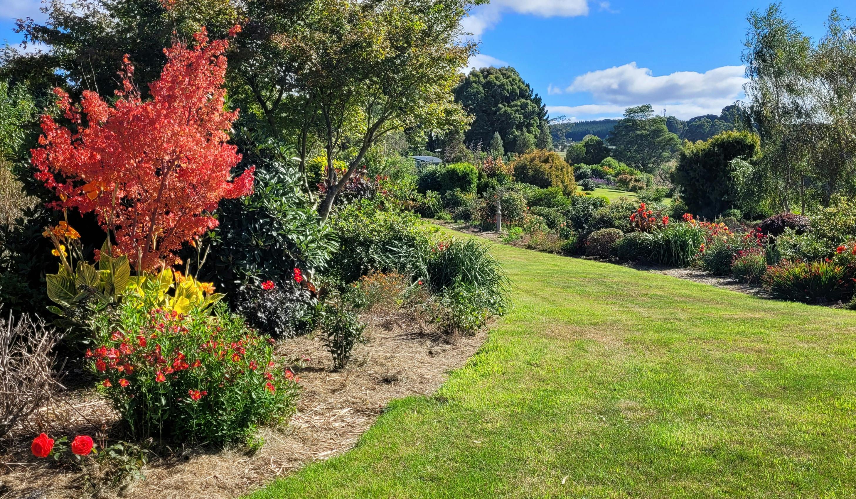 Open Gardens Victoria - Saint Cloud, grass pathway