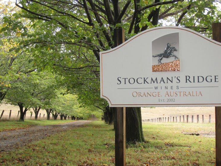 A tree lined entrance to Stockman's Ridge Wines