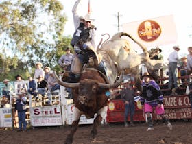 Coonamble Rodeo and Campdraft Cover Image