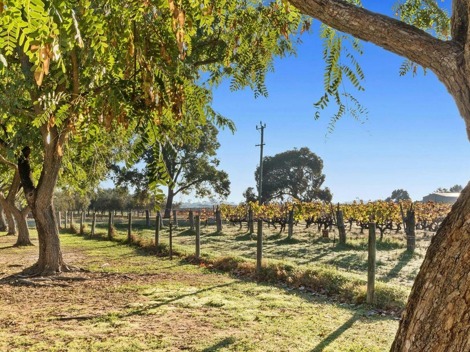 Discovery Parks - Swan Valley