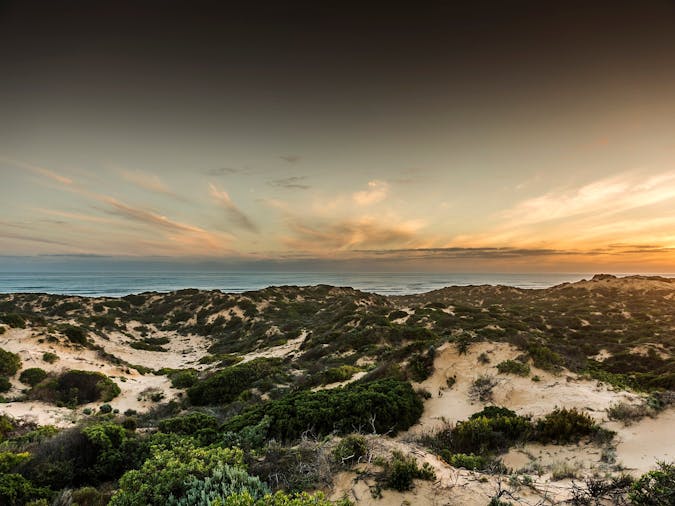 Sandhill Panorama