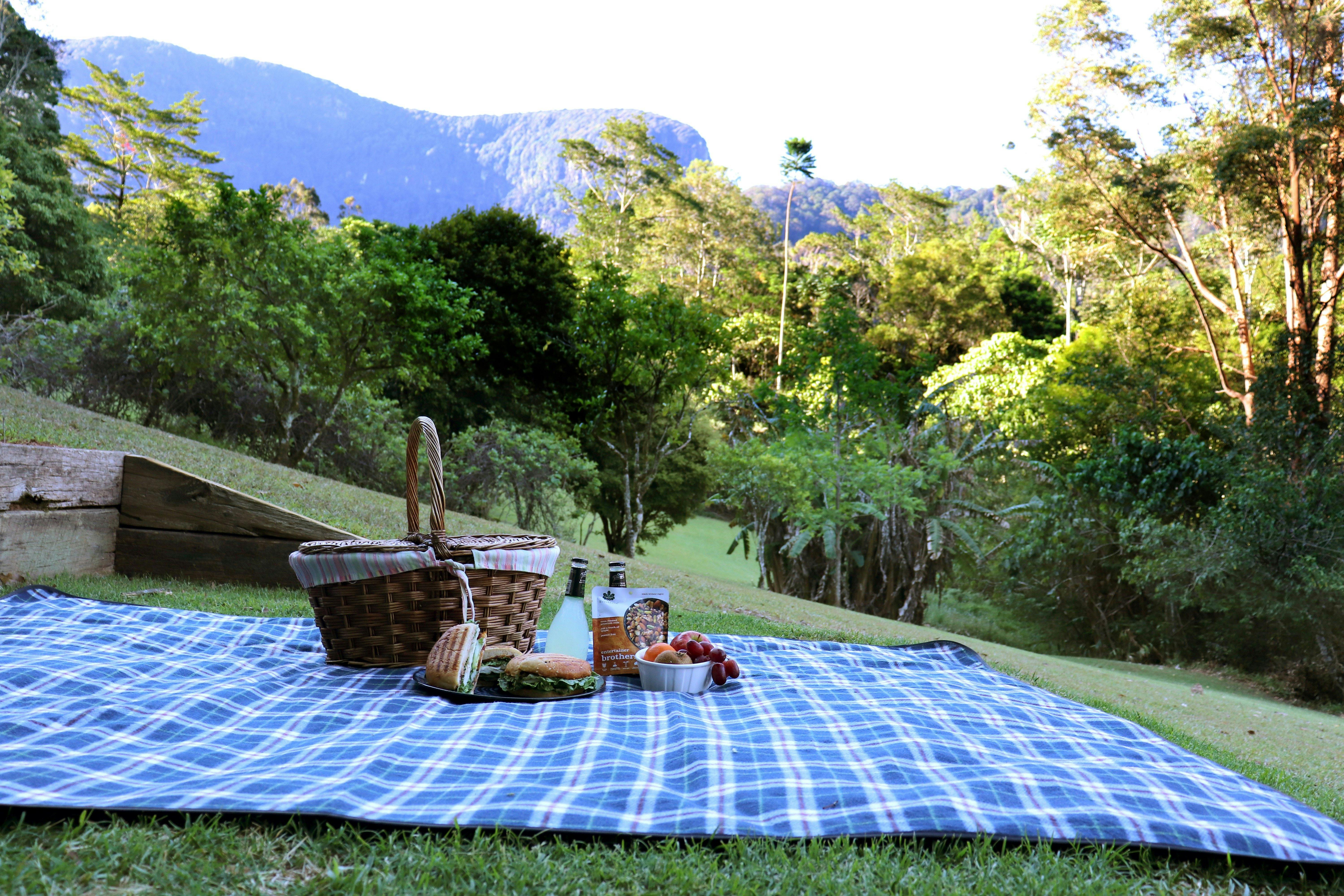 과수원에서 피크닉