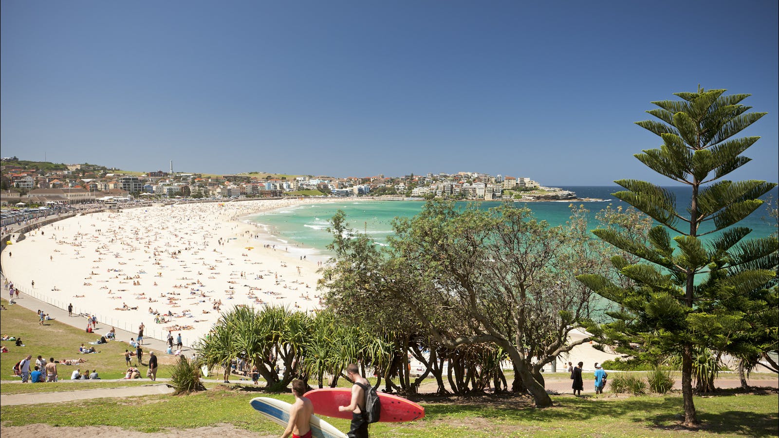 Bondi to Coogee Coastal Walk
