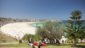 Bondi to Coogee Coastal Walk