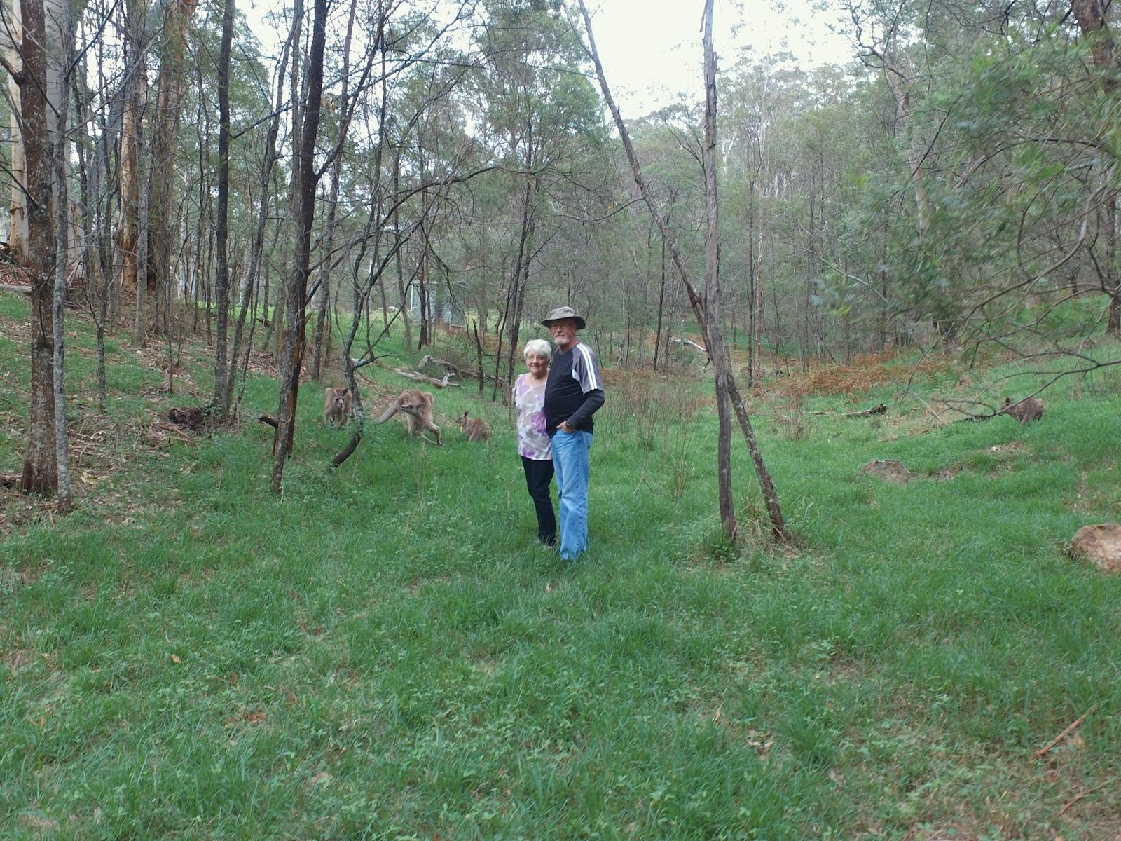 sydneydaytours