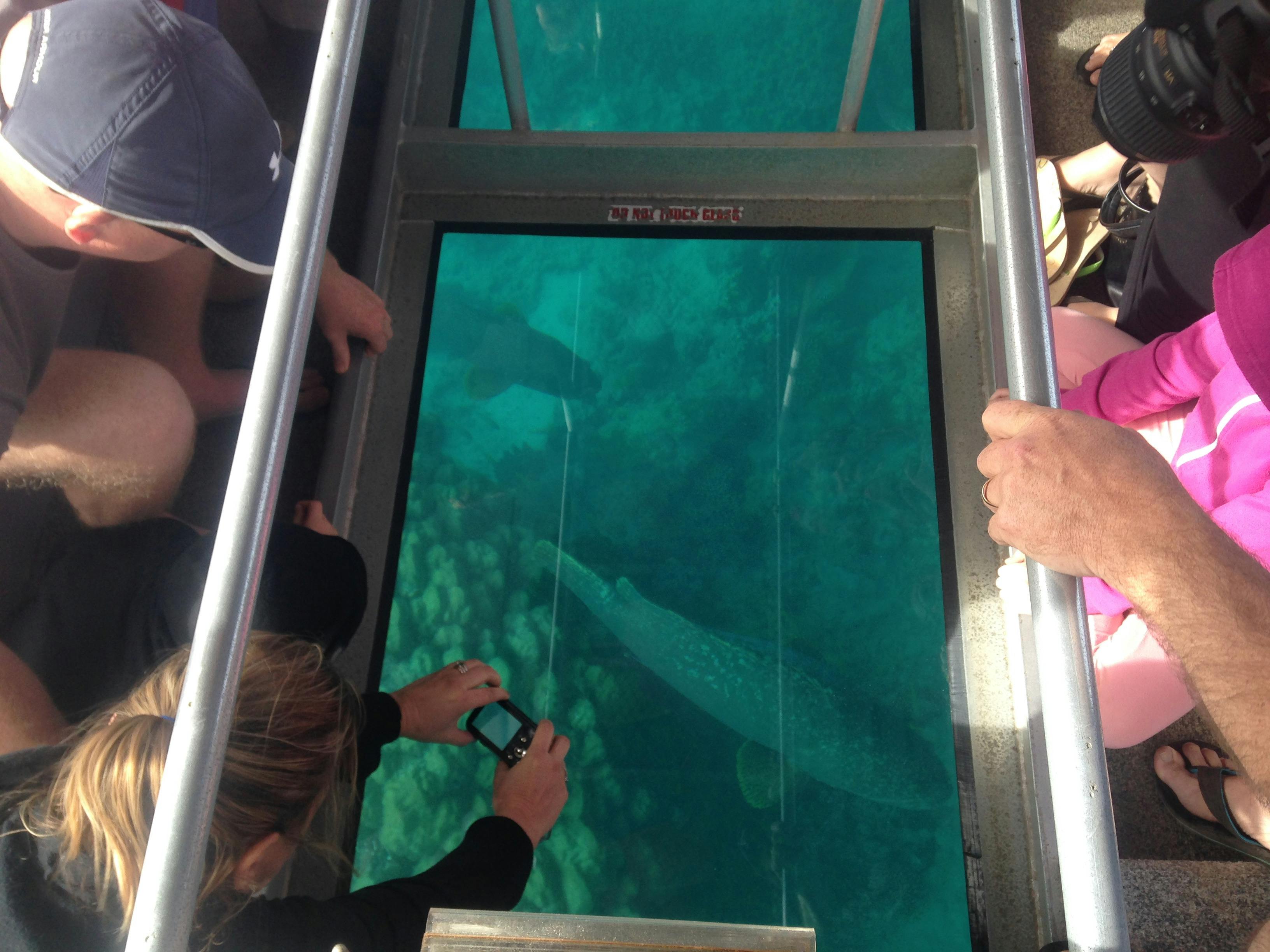 Ningaloo Ecology Cruises, Exmouth, Western Australia