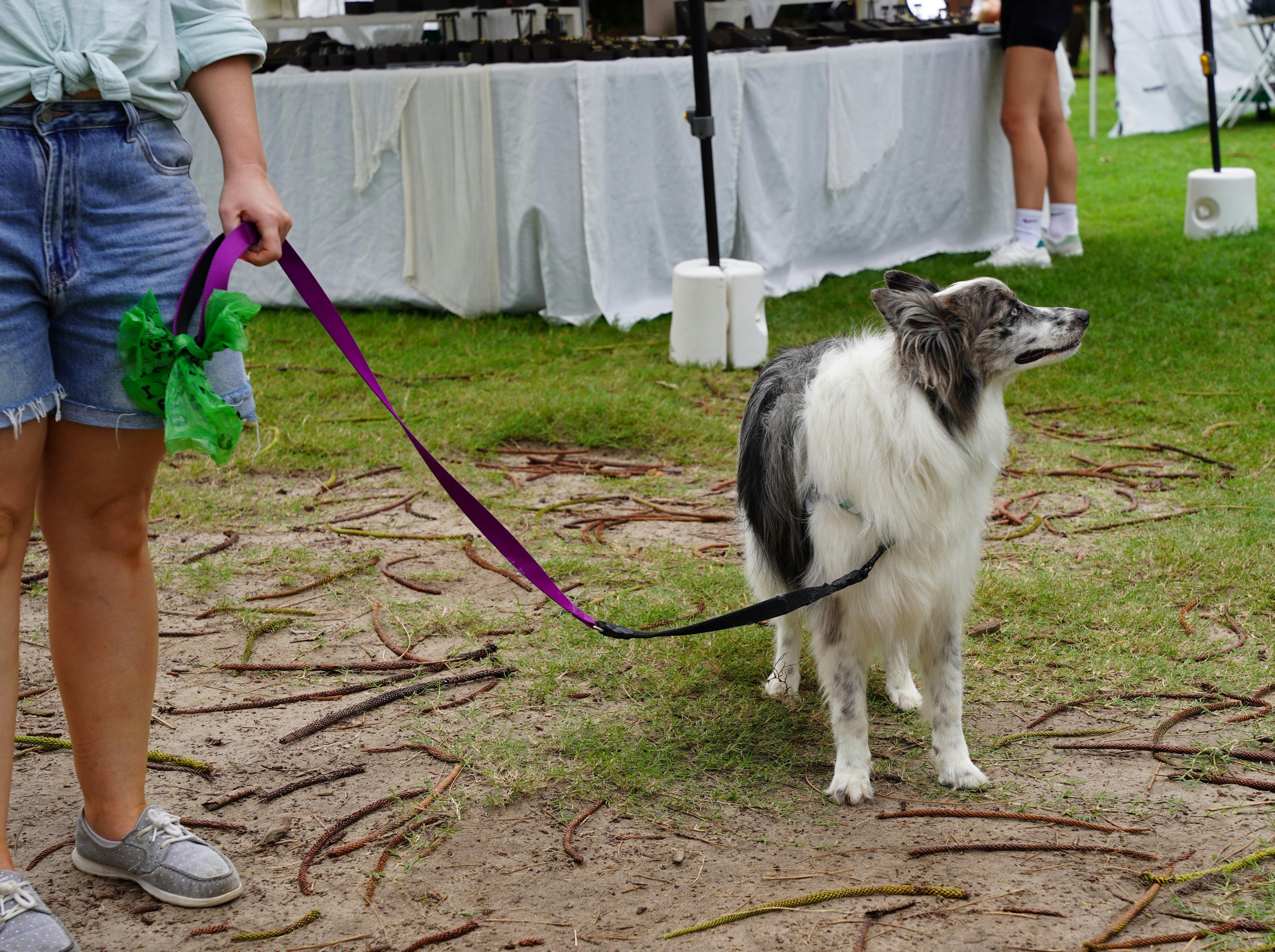 Burleigh Art and Craft on the Coast Markets