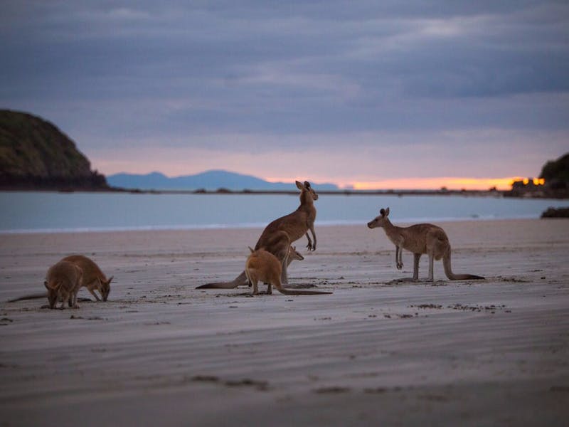 Mackay to Airlie Beach