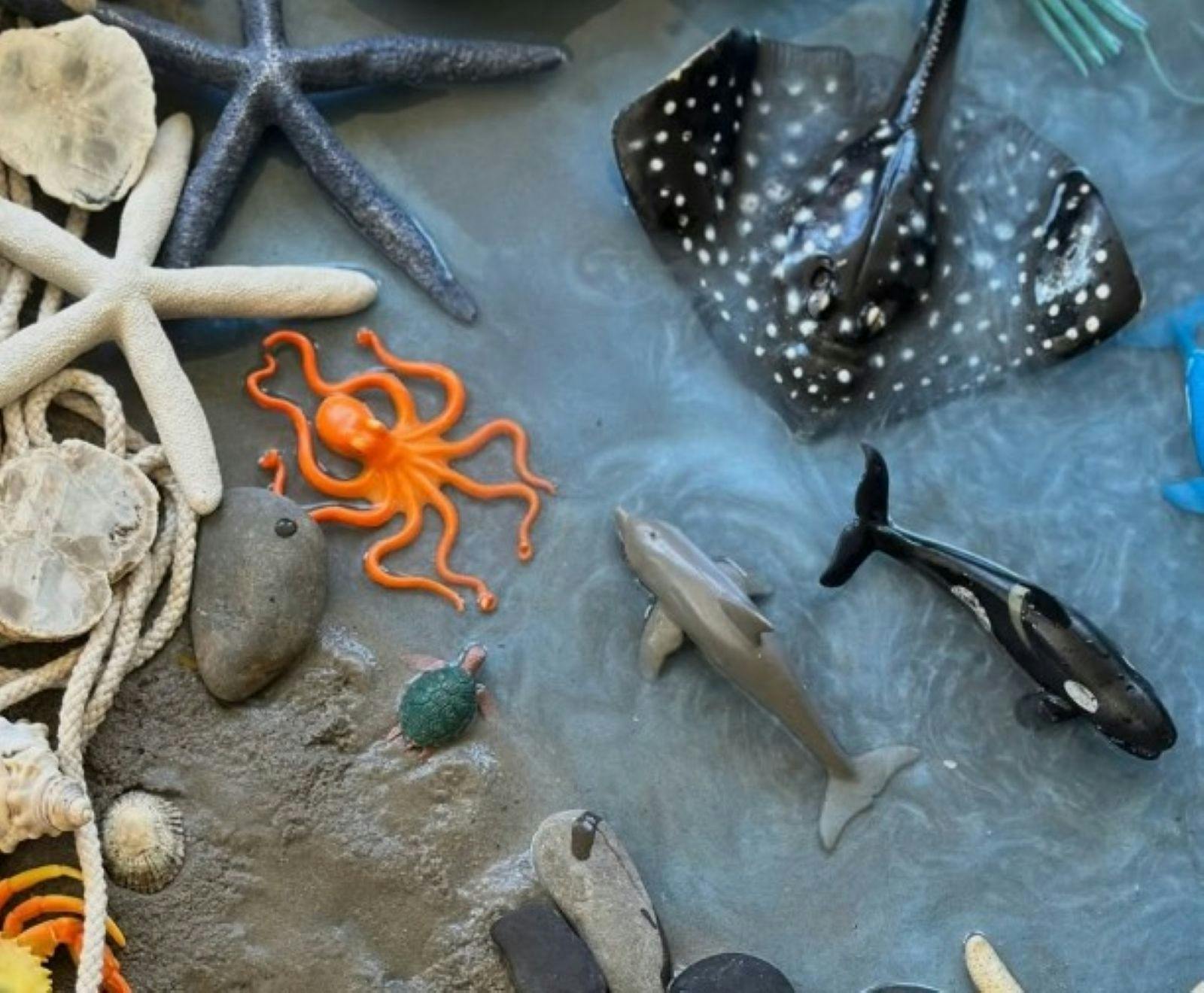 toy marine life in water and sand