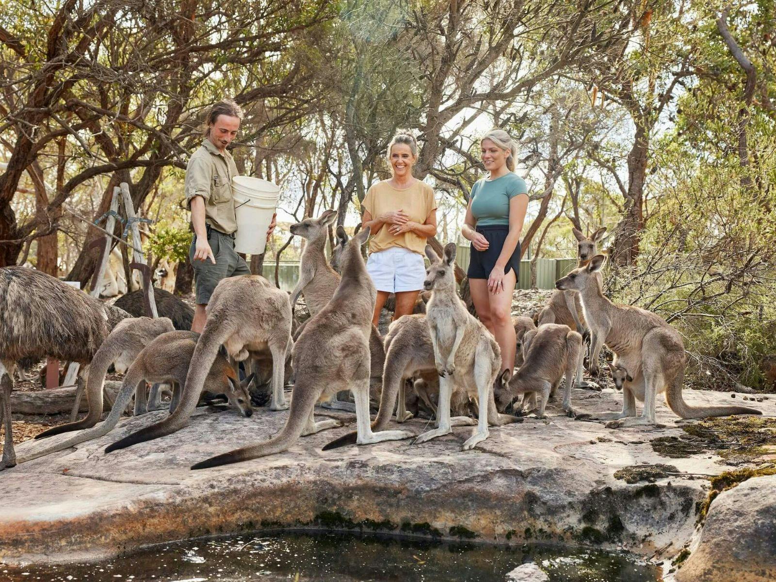 ローターワンによる野生動物の散歩ヘリコプターツアー