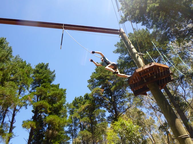 Go Wild Southern Adventure Hub