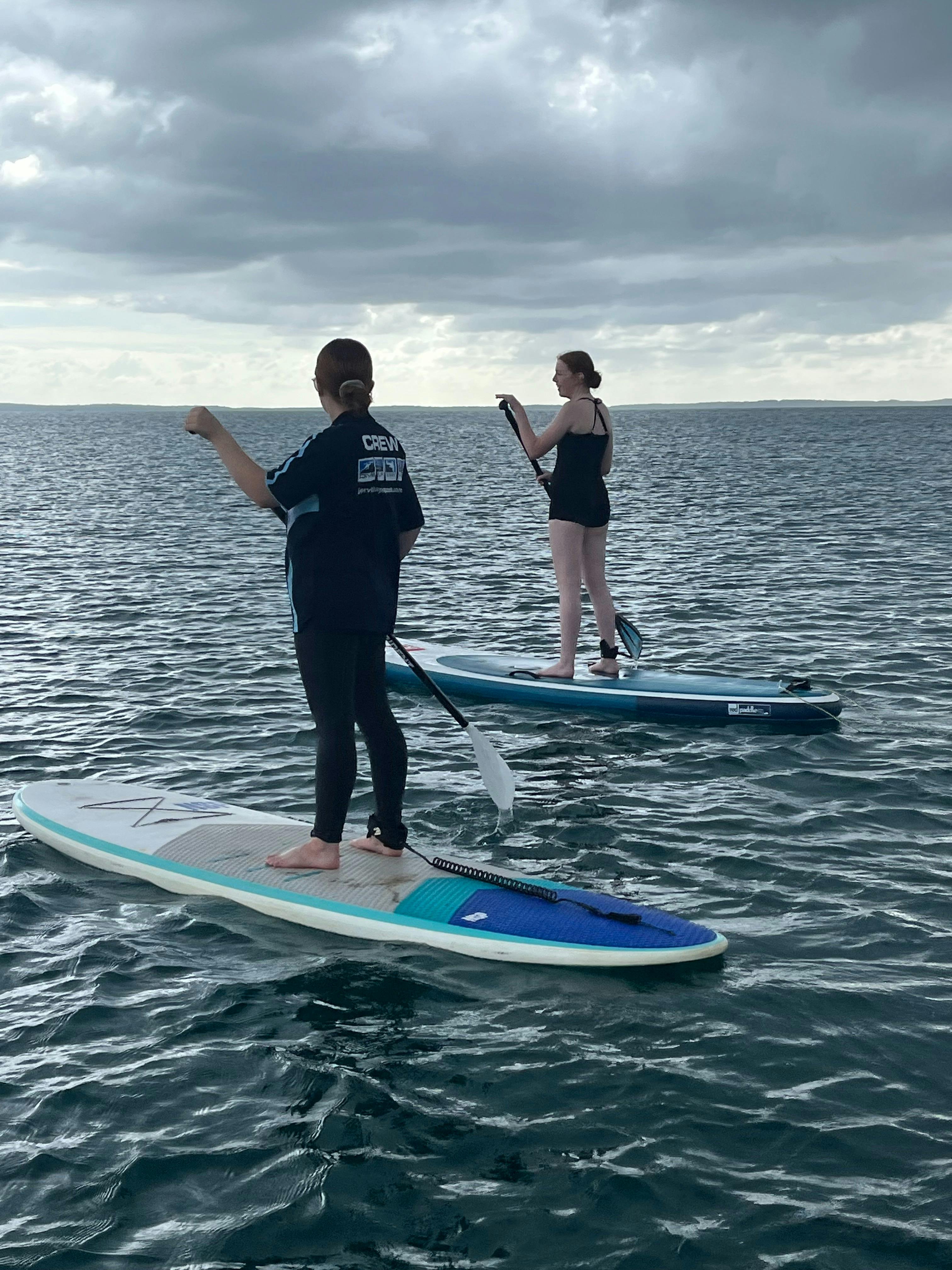 2 people on SUP boards in the Bay
