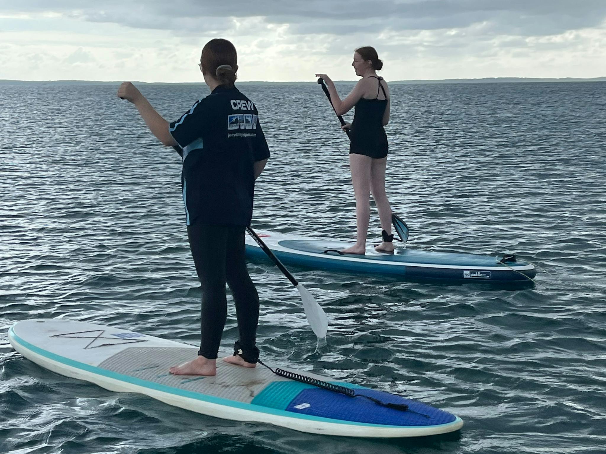2 people on SUP boards in the Bay