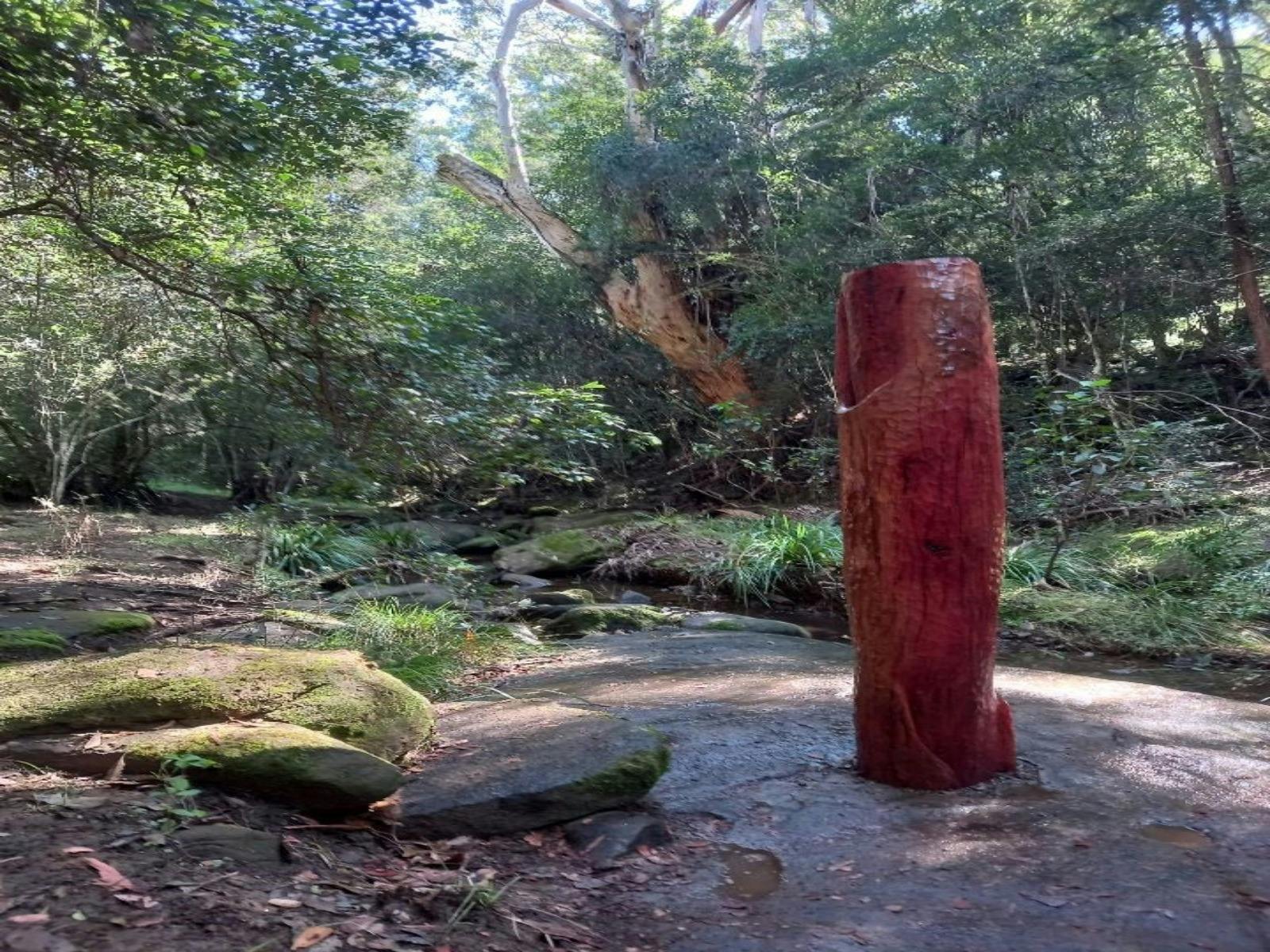 A thought is a Ripple