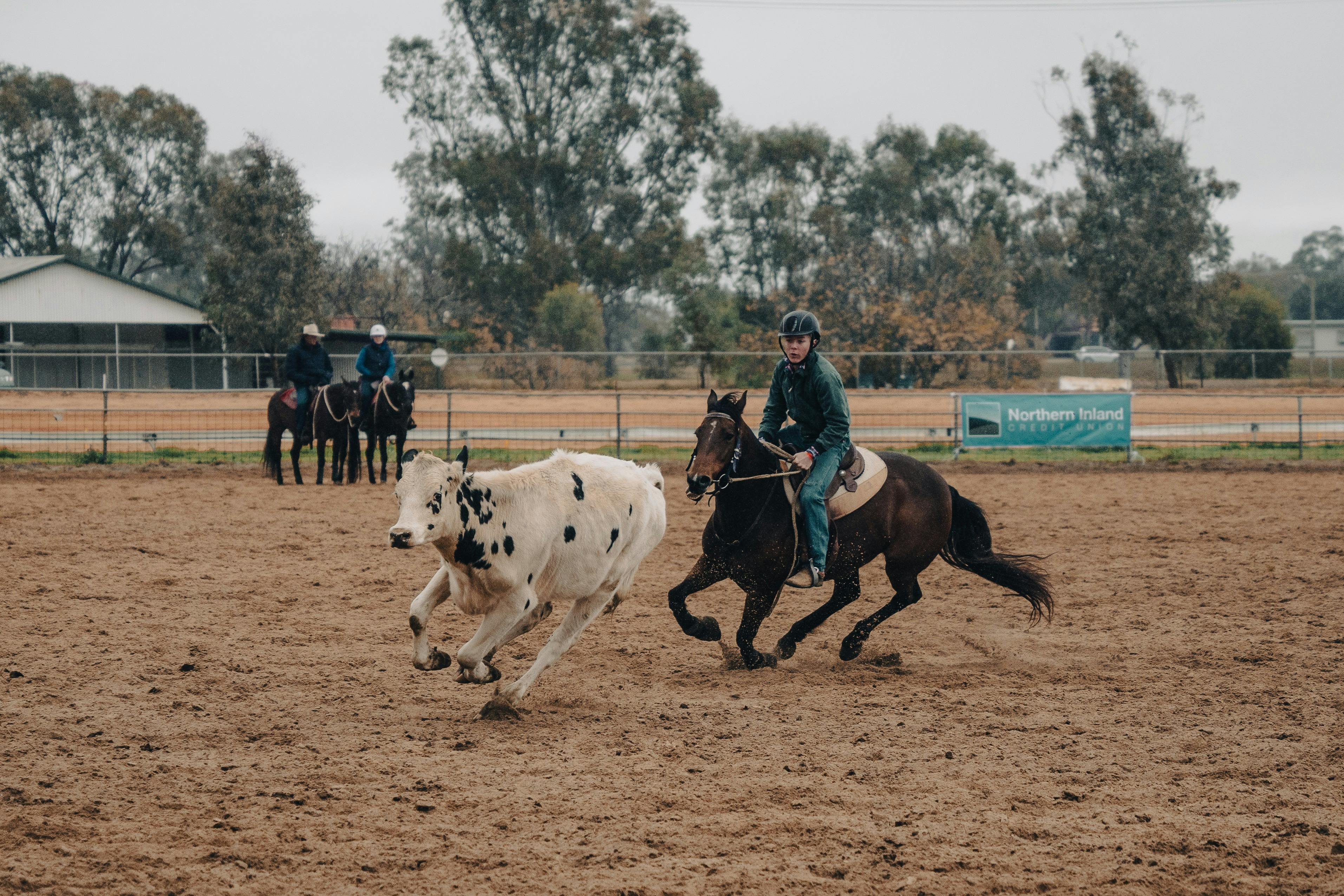 納拉布里牧牛節在展覽場地舉行