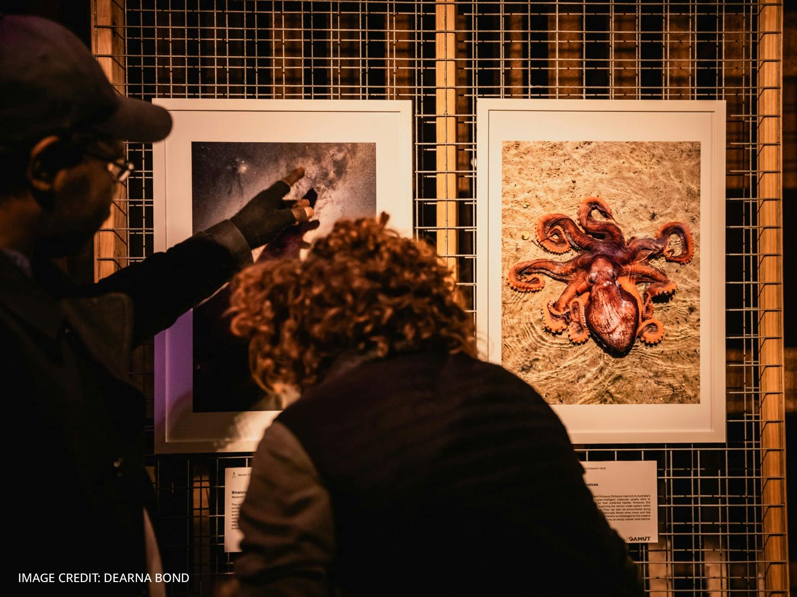 Image of people viewing finalists at the Beaker Street Science Photography Prize Exhibition
