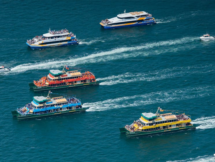 Ferrython Race on Sydney Harbour on Australia Day