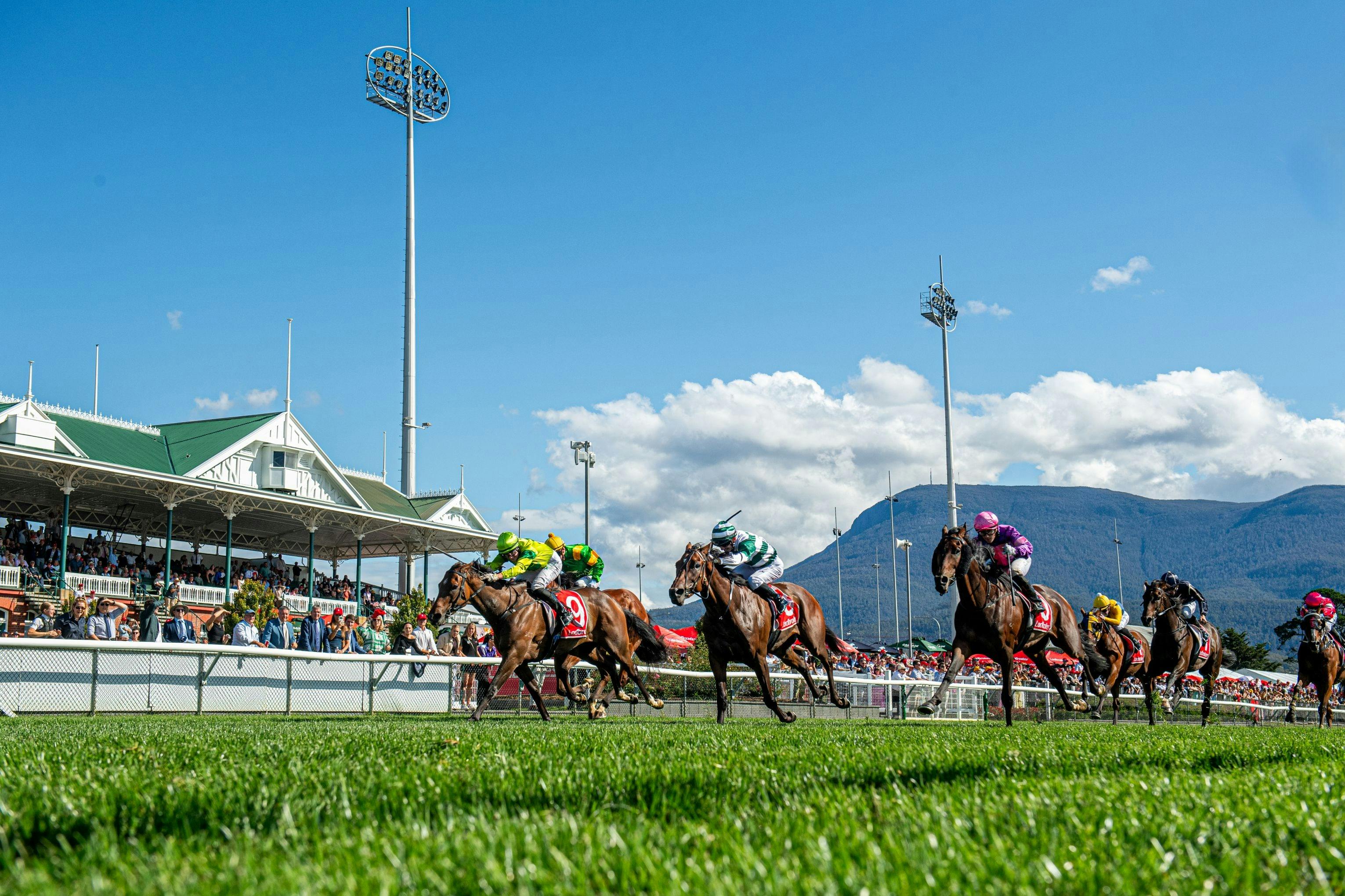 Hobart Cup day
