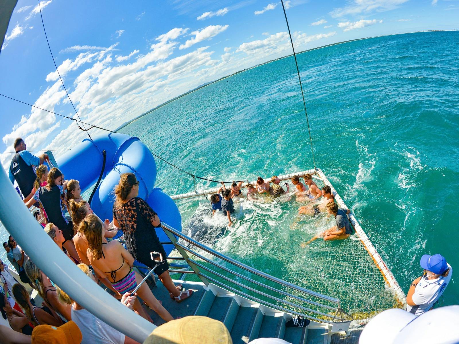 Water Dolphin Cruise