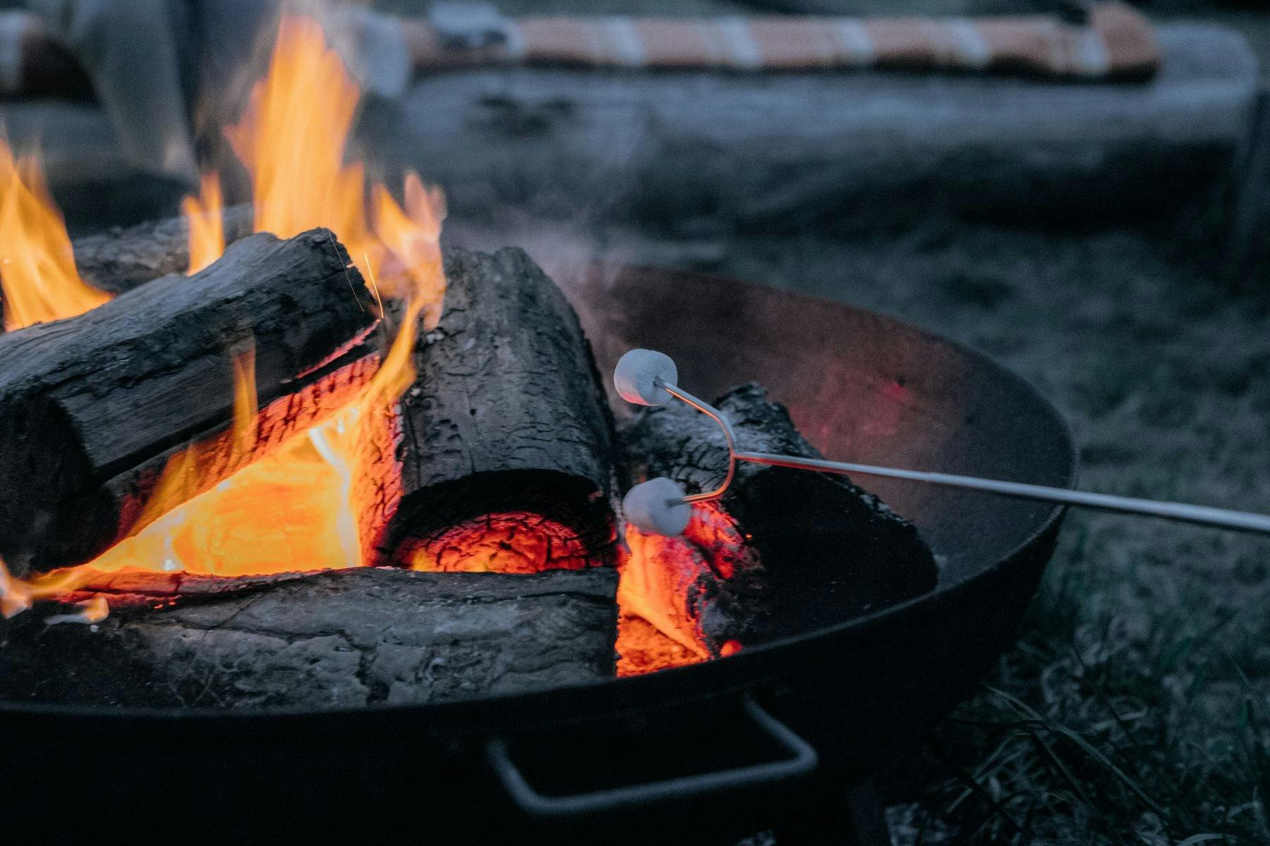 Fire pit with burning logs and marshmallows toasting