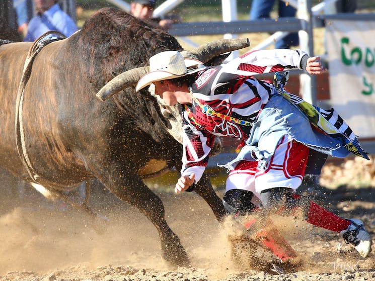 All action at the Cooma Rodeo