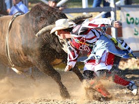 All action at the Cooma Rodeo