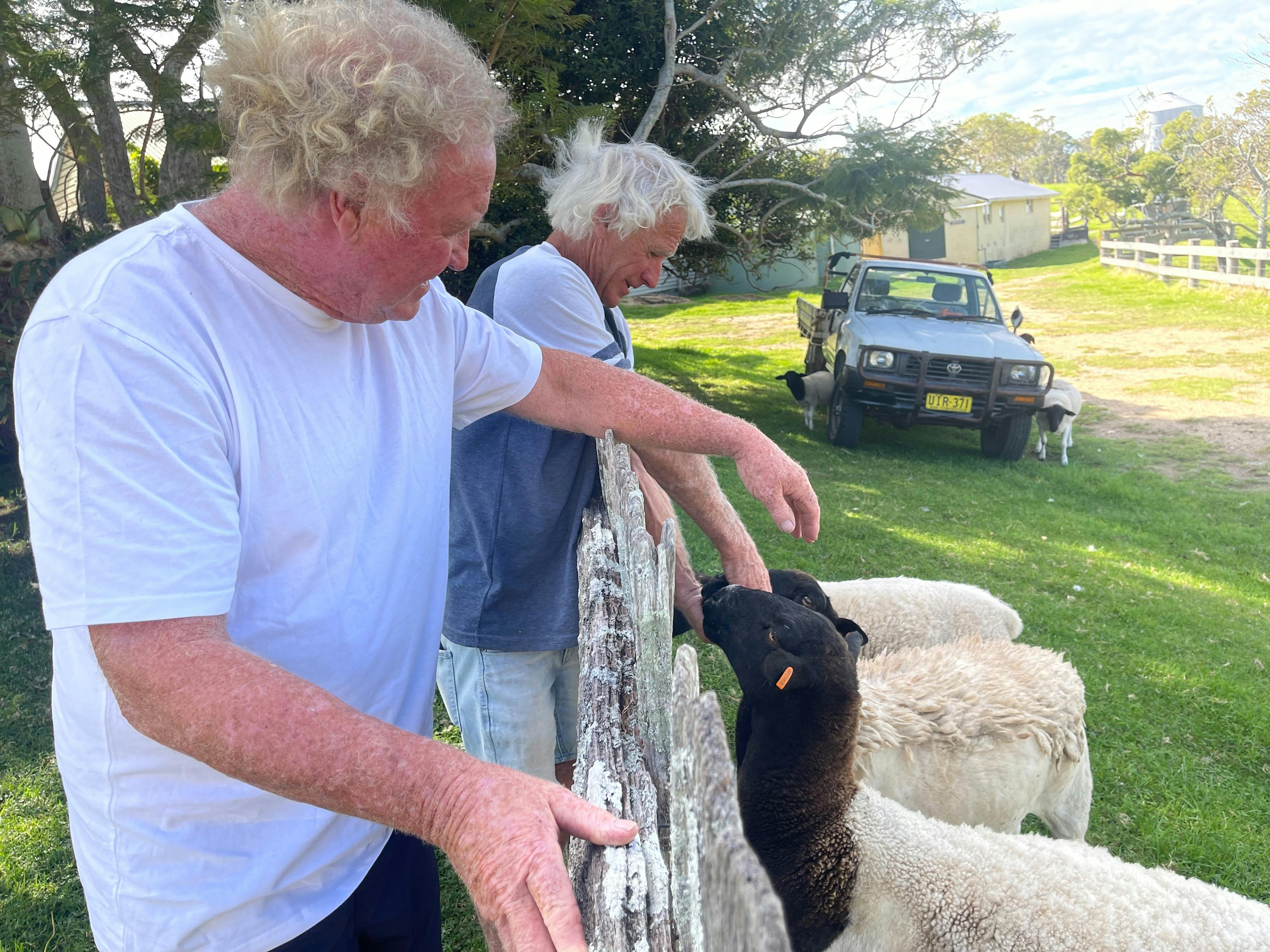 Historic Henkley Farm is home to cattle, sheep and in Spring enjoy watching the lambs and Kangaroos.