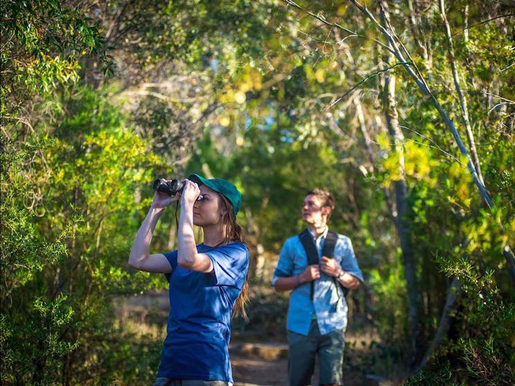 Chiltern-Mt Pilot National Park