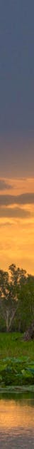 Stunning sunset Corroboree Billabong