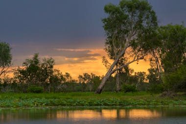 Corroboree Billabong Wetland Cruises - 2 hour sunset cruise - Self Drive Option