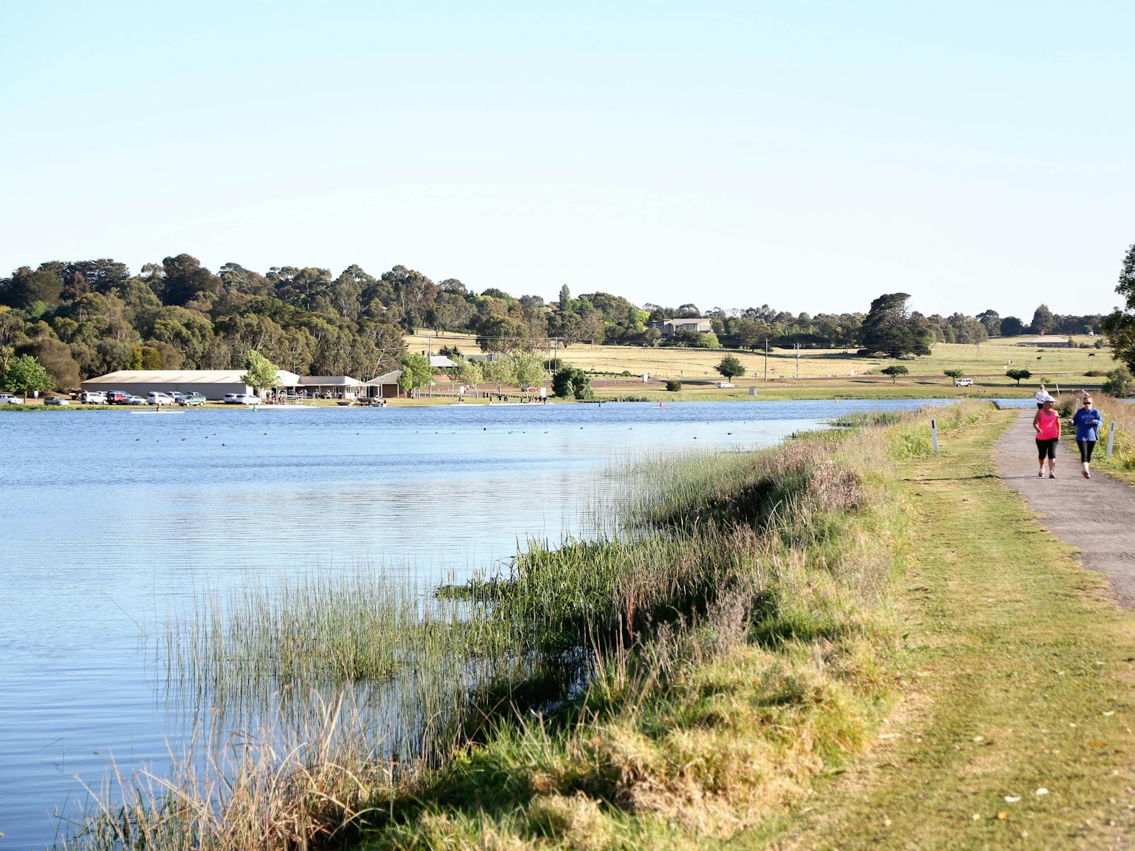 Hamilton parkrun