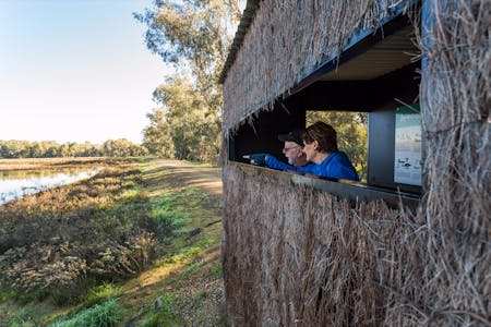 Marrambidya Wetland, Wagga Wagga