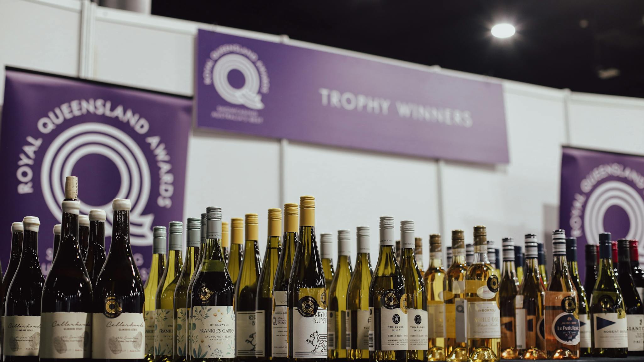 Trophy Winning Wine at Grape Grazing by Night