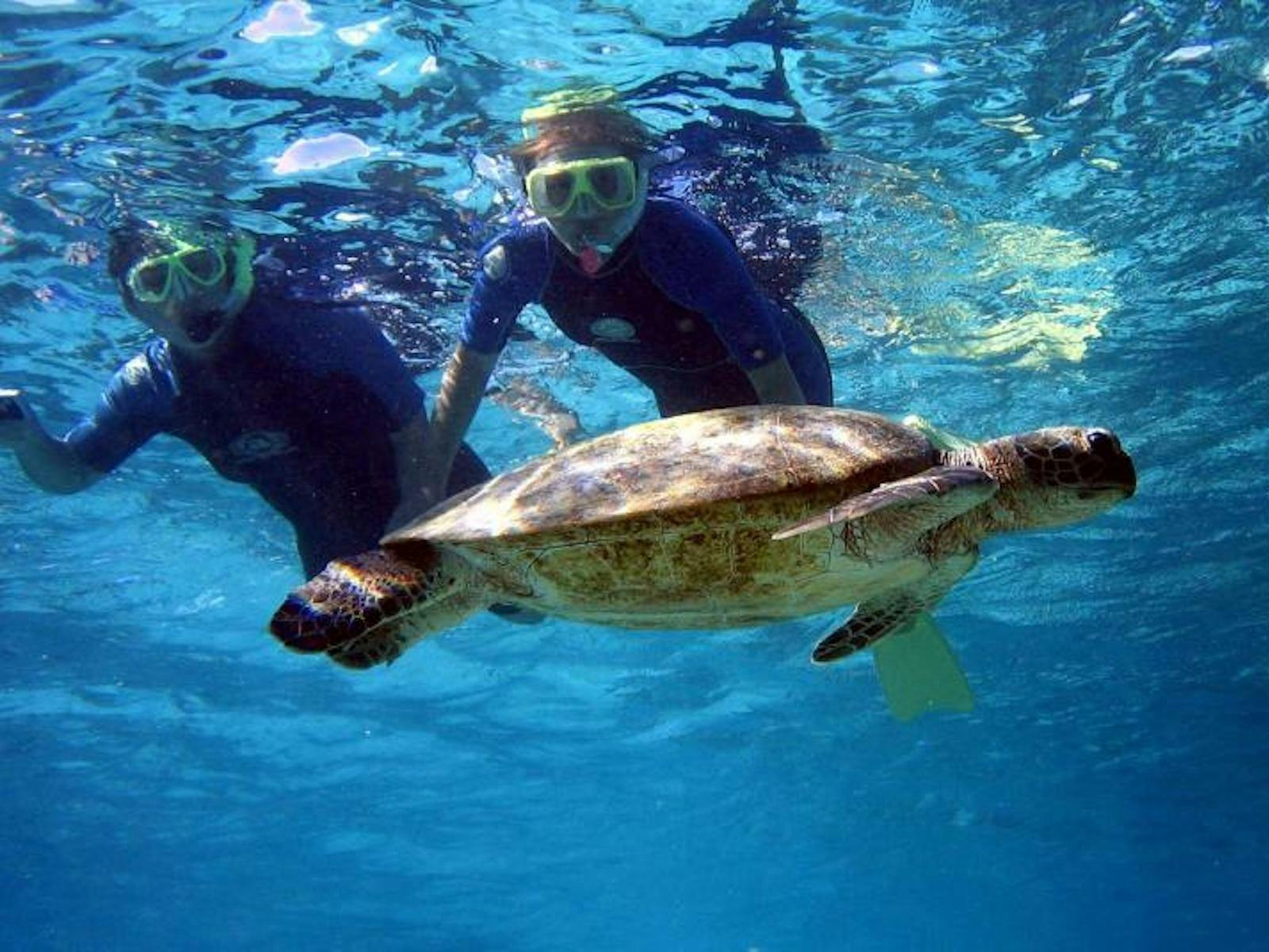 Western Australia Coral Bay Ningaloo Reef