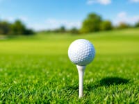 Image: Wagga Wagga Par3 and Driving Range