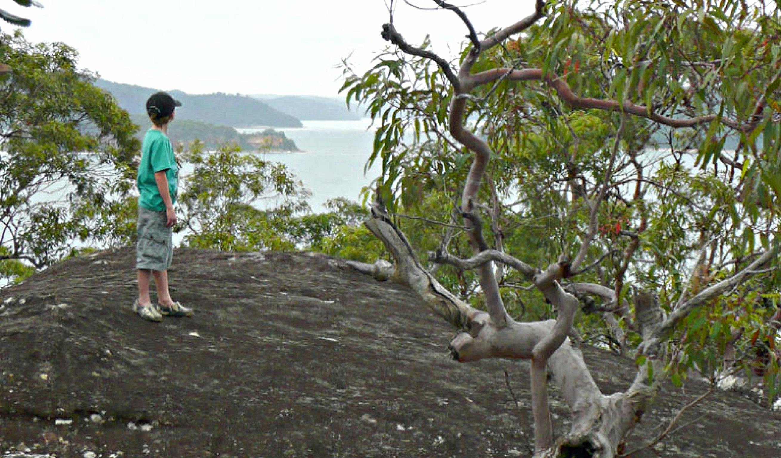 Person on the Flannel Flower walking track. Photo: Sarah Brookes