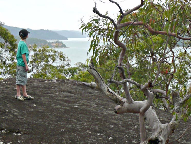 Person on the Flannel Flower walking track. Photo: Sarah Brookes