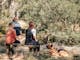 people sitting in nature and laughing with a dog