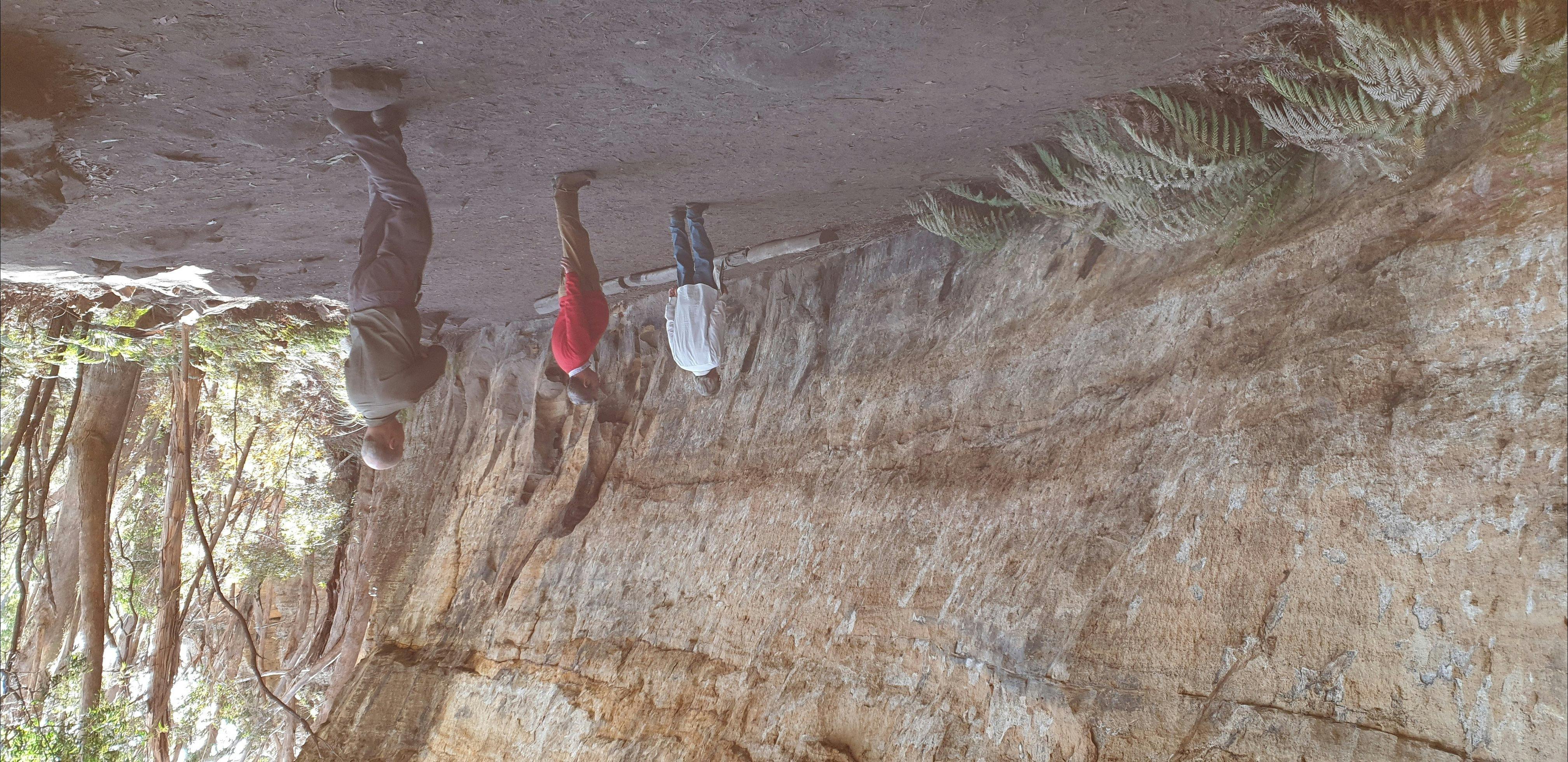 Blue Mountains Country Charm  Discovery Tour