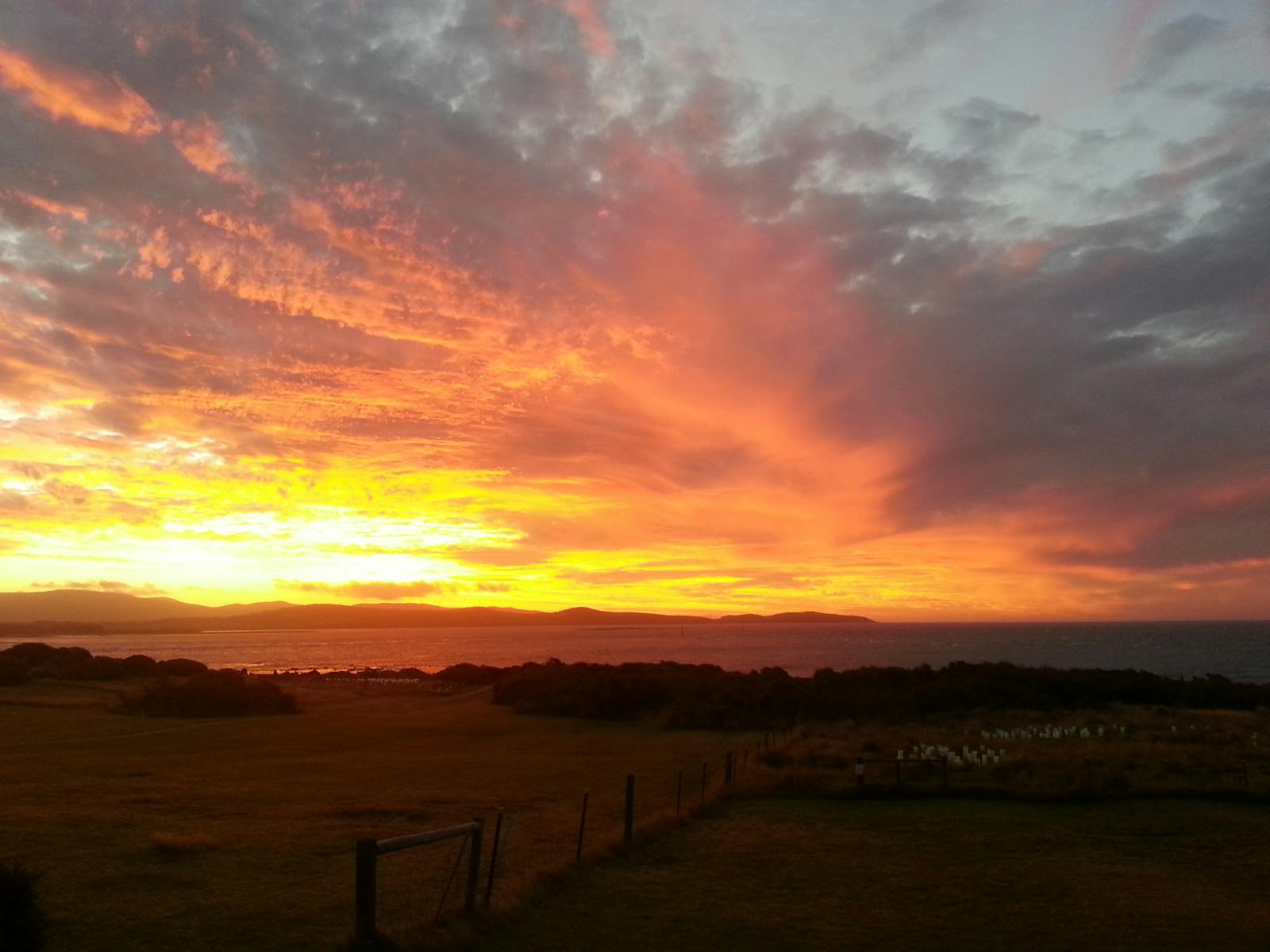 Sunset over Low Head at the penguin tour