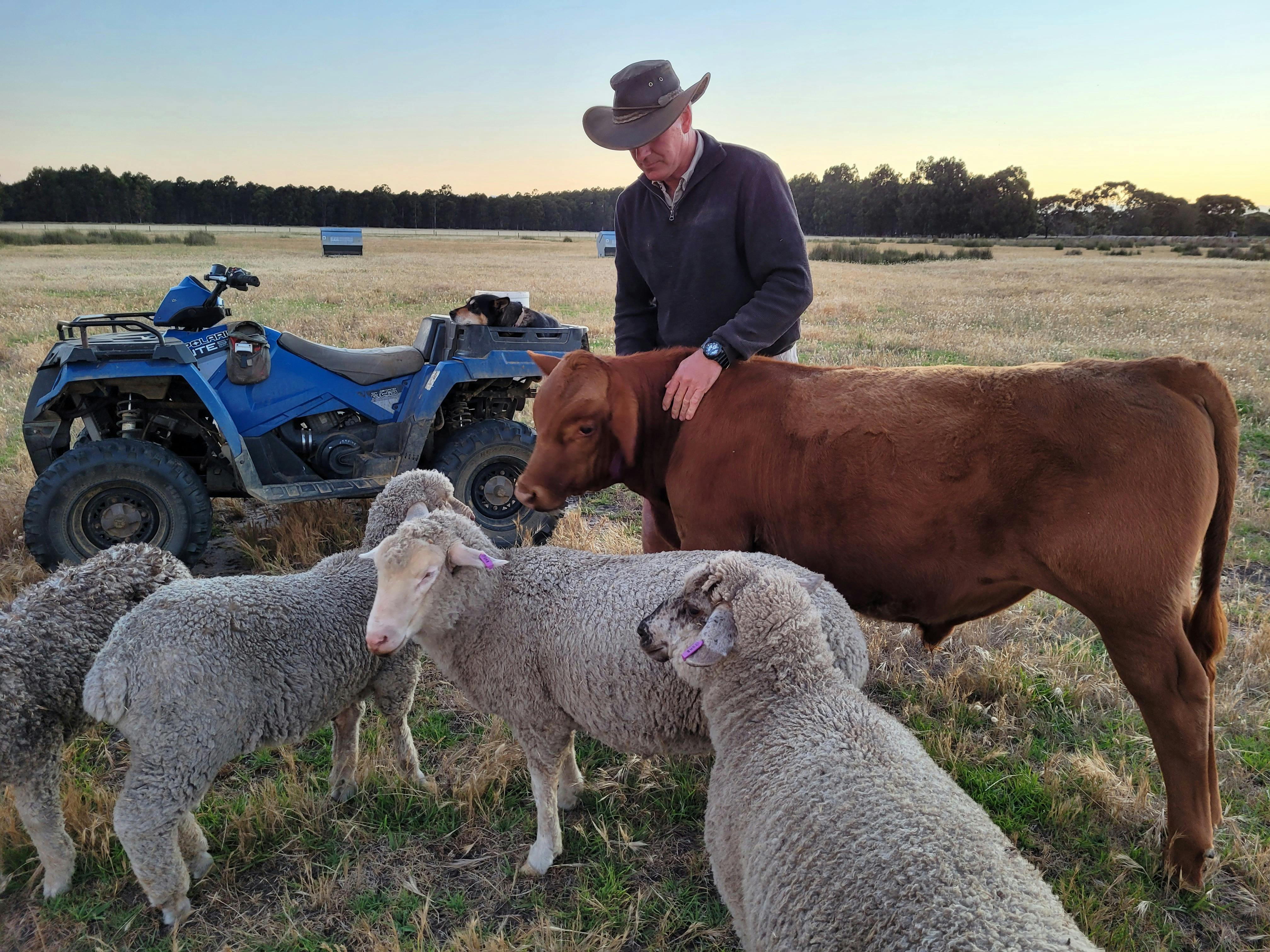 Esperance Farm Experience, Merrivale, Western Australia