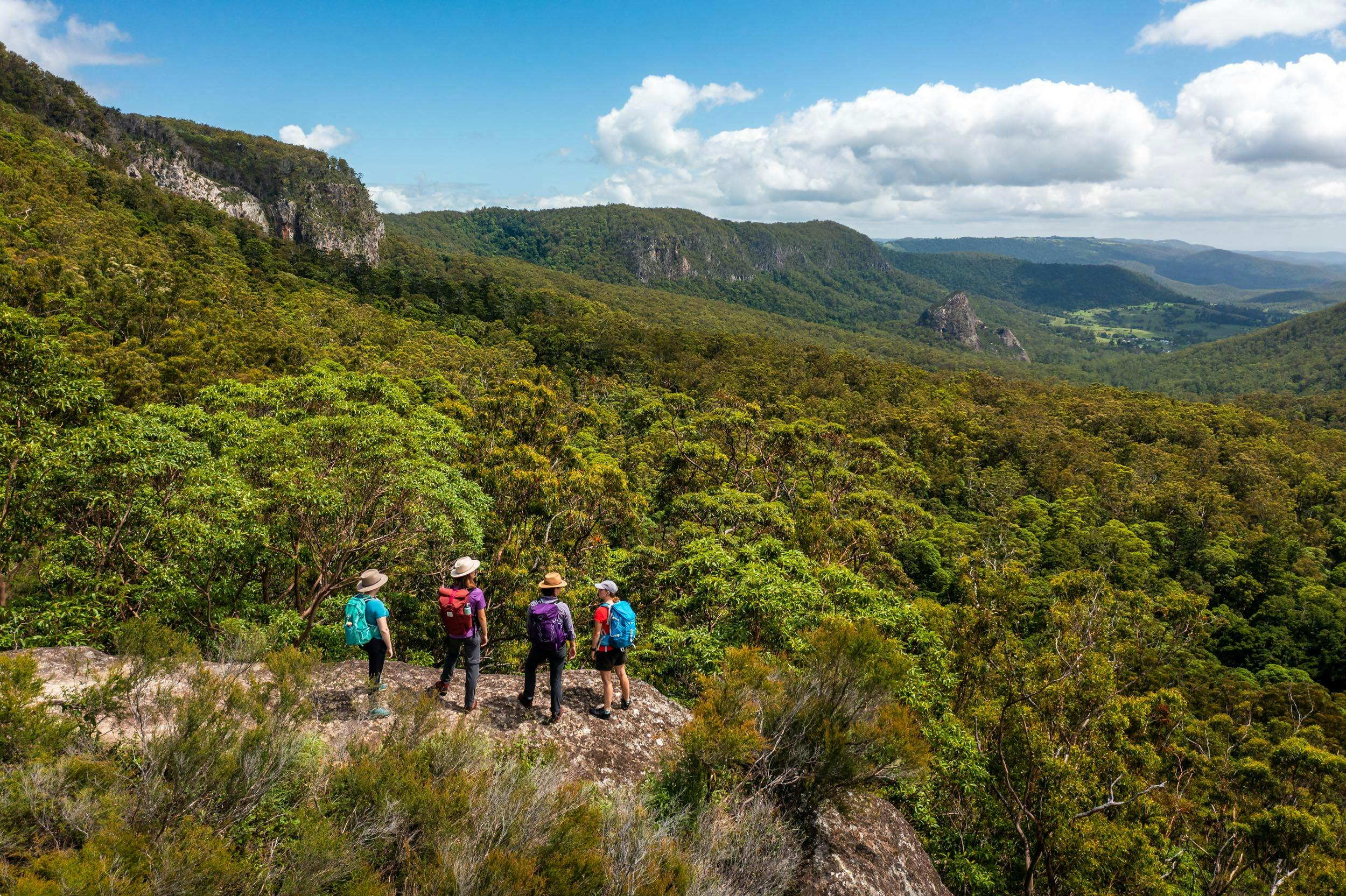 Lamington National Park walk