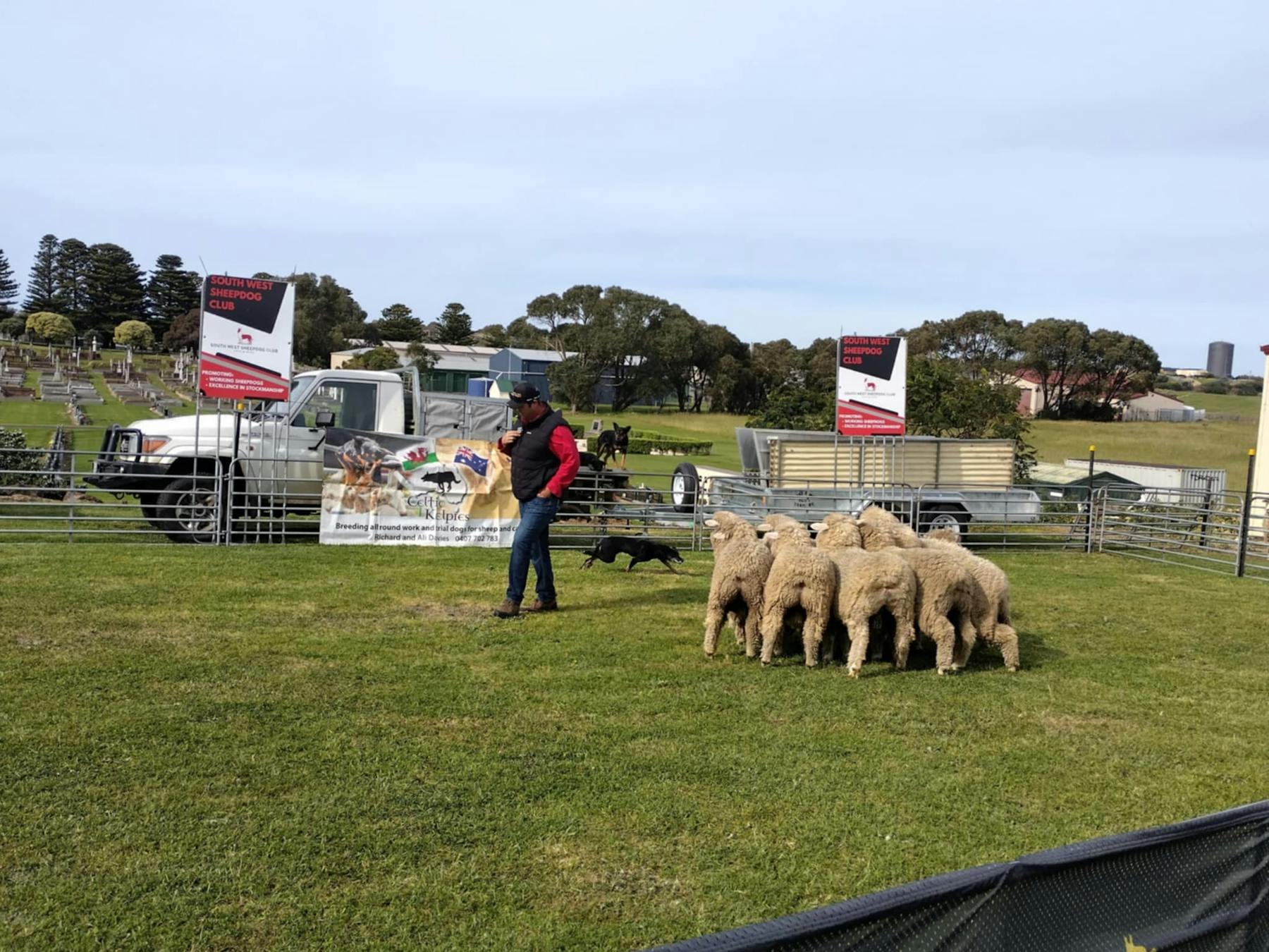 Sheepdog trial