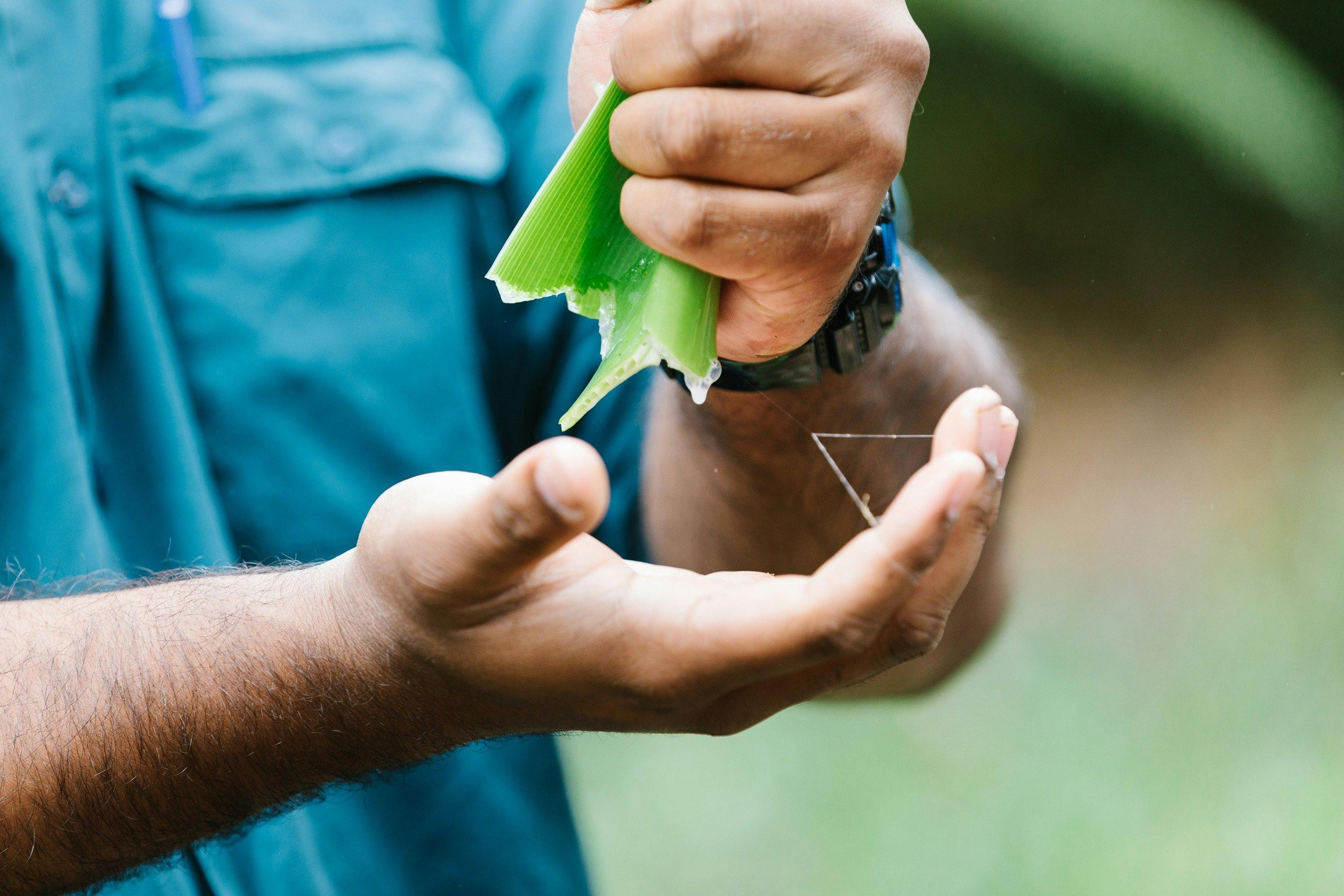Botanic Gardens, Booderee National Park
