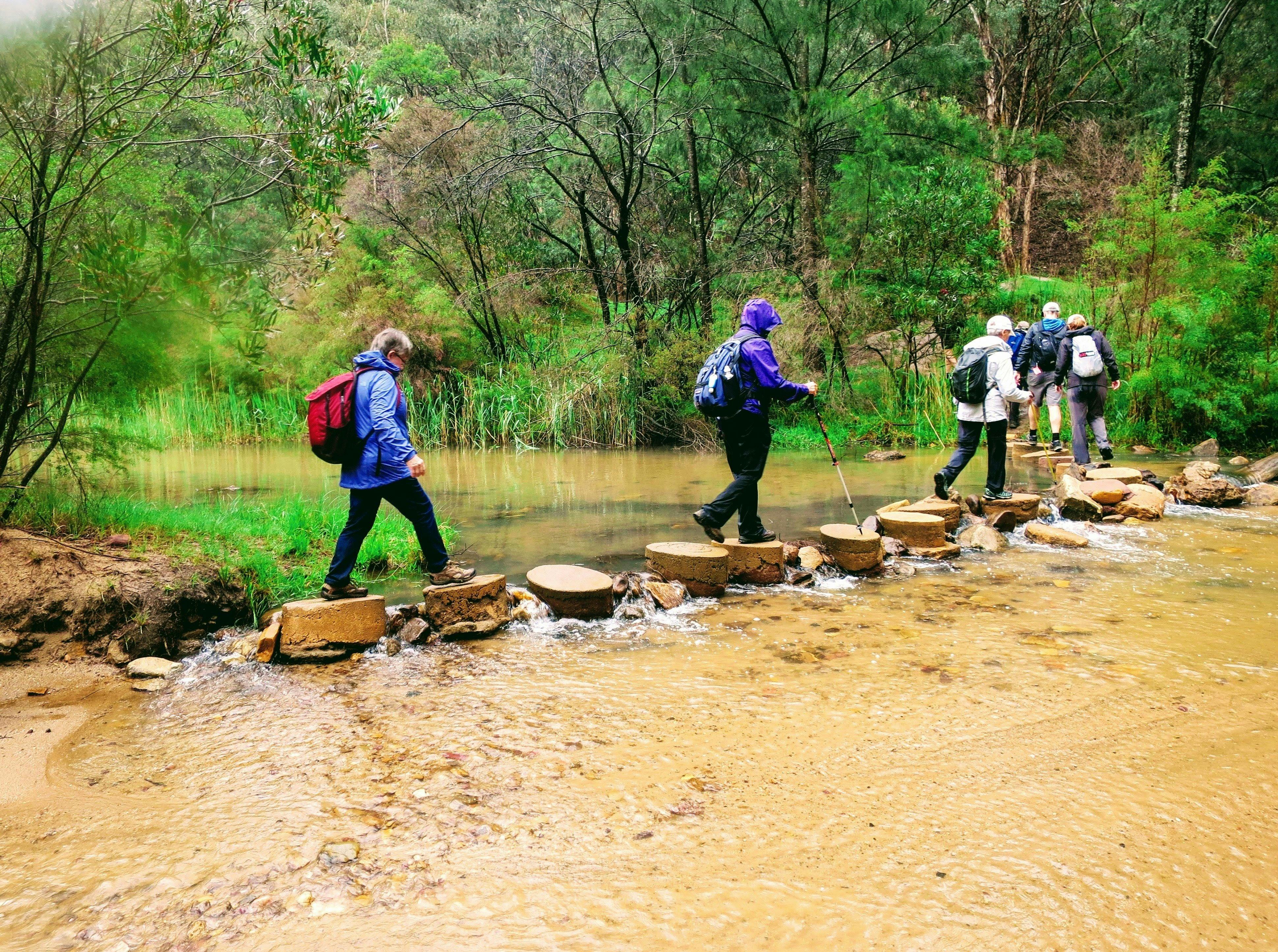 ウォルガン渓谷とグローワーム洞窟パックの無料ウォーク（Life's An Adventure提供）