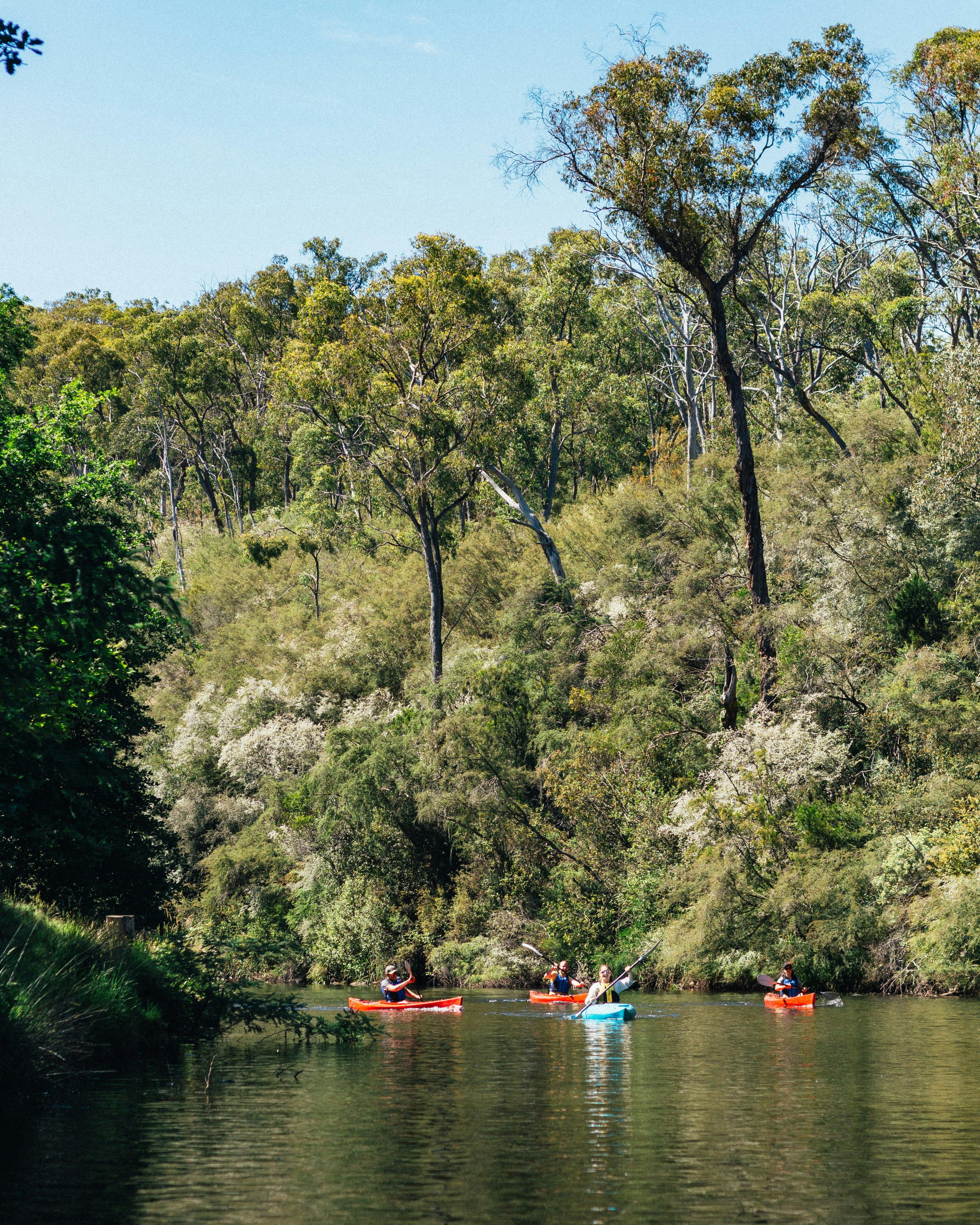 Kayak Australia