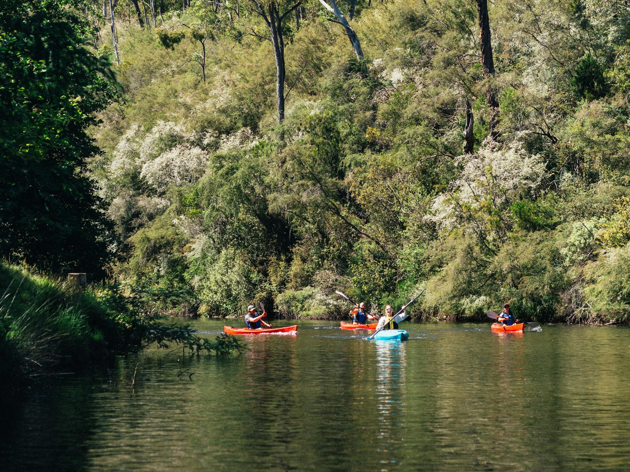 Kayak Adventure Jamieson River