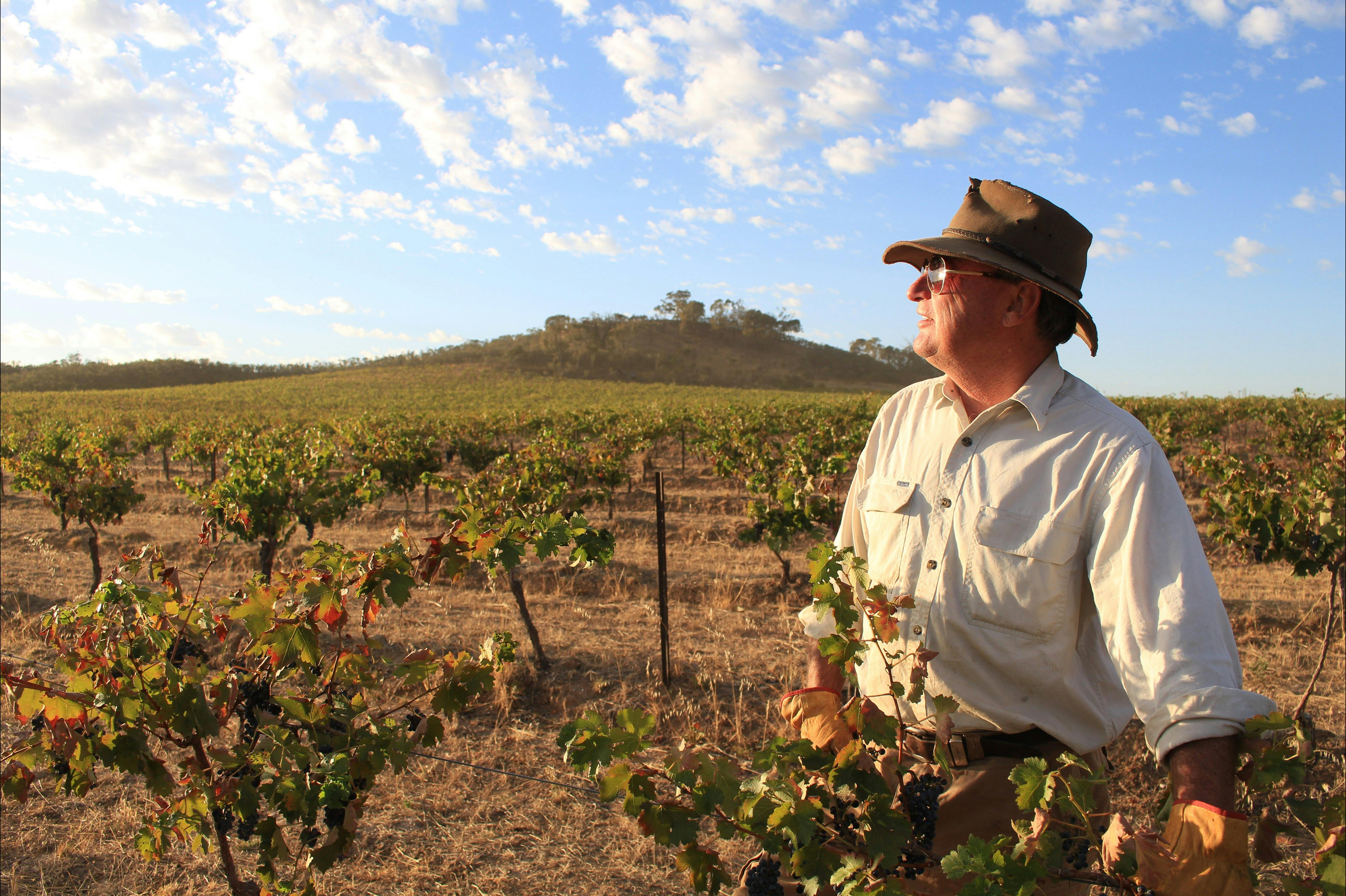 Sally's Paddock at Redbank Winery