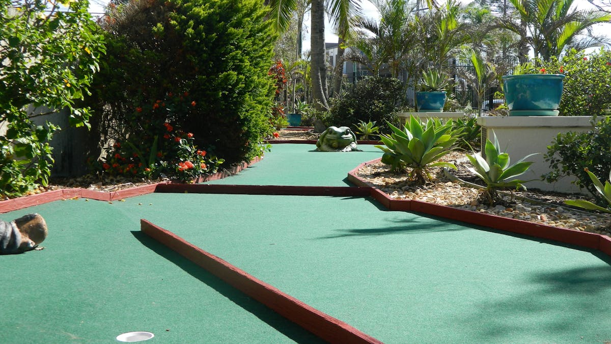 Royal Palm on the Beach