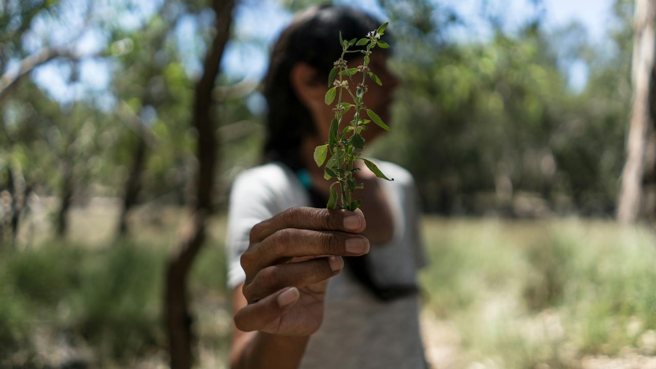 Tracy Hamilton with River Mint